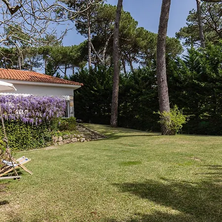 Refugio Do Pinhal Villa